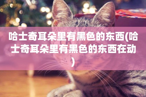哈士奇耳朵里有黑色的東西(哈士奇耳朵里有黑色的東西在動)