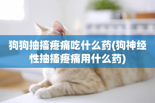 狗狗抽搐疼痛吃什么藥(狗神經性抽搐疼痛用什么藥)