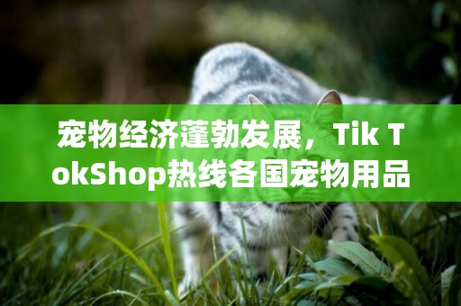 寵物經濟蓬勃發展，Tik TokShop熱線各國寵物用品 