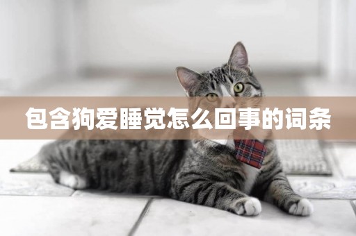 包含狗愛睡覺怎么回事的詞條
