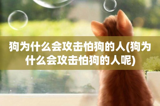 狗為什么會攻擊怕狗的人(狗為什么會攻擊怕狗的人呢)