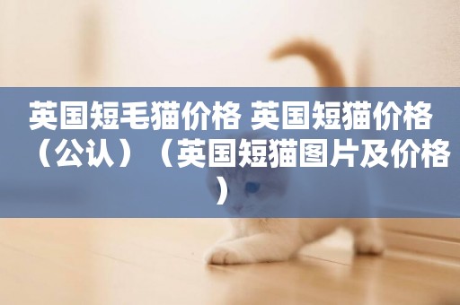 英國短毛貓價格 英國短貓價格（公認）（英國短貓圖片及價格） 