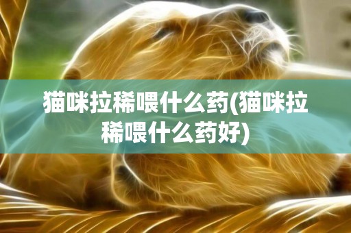 貓咪拉稀喂什么藥(貓咪拉稀喂什么藥好)