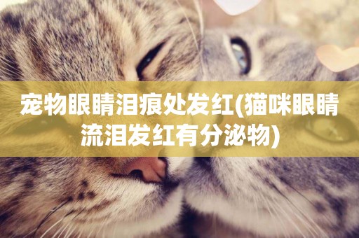 寵物眼睛淚痕處發紅(貓咪眼睛流淚發紅有分泌物)