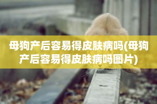 母狗產后容易得皮膚病嗎(母狗產后容易得皮膚病嗎圖片)