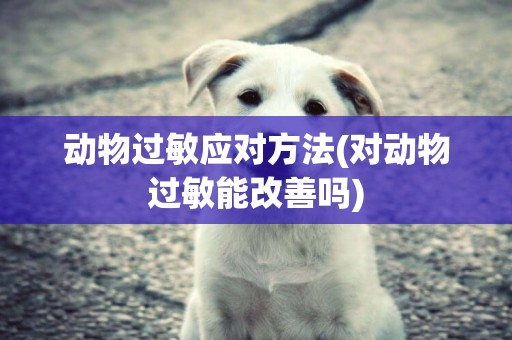 動物過敏應對方法(對動物過敏能改善嗎)