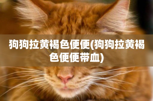 狗狗拉黃褐色便便(狗狗拉黃褐色便便帶血)