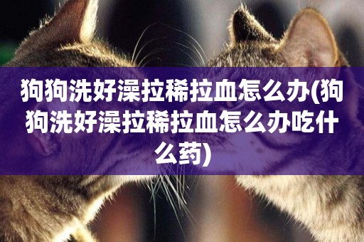 狗狗洗好澡拉稀拉血怎么辦(狗狗洗好澡拉稀拉血怎么辦吃什么藥)