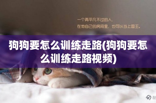 狗狗要怎么訓練走路(狗狗要怎么訓練走路視頻)
