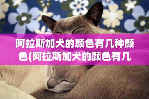 阿拉斯加犬的顏色有幾種顏色(阿拉斯加犬的顏色有幾種顏色呢)