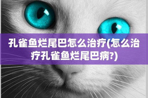 孔雀魚爛尾巴怎么治療(怎么治療孔雀魚爛尾巴病?)