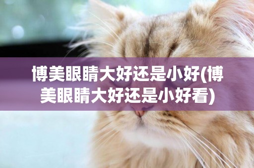 博美眼睛大好還是小好(博美眼睛大好還是小好看)