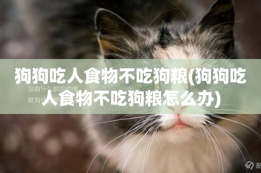 狗狗吃人食物不吃狗糧(狗狗吃人食物不吃狗糧怎么辦)