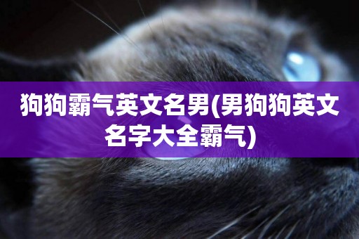 狗狗霸氣英文名男(男狗狗英文名字大全霸氣)