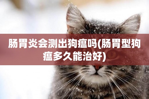 腸胃炎會測出狗瘟嗎(腸胃型狗瘟多久能治好)