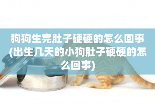 狗狗生完肚子硬硬的怎么回事(出生幾天的小狗肚子硬硬的怎么回事)