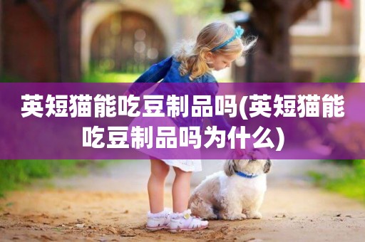 英短貓能吃豆制品嗎(英短貓能吃豆制品嗎為什么)
