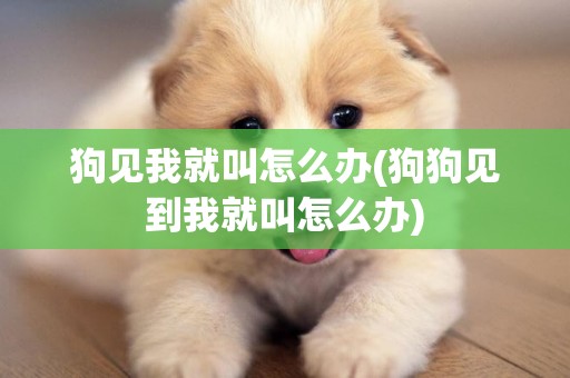 狗見我就叫怎么辦(狗狗見到我就叫怎么辦)