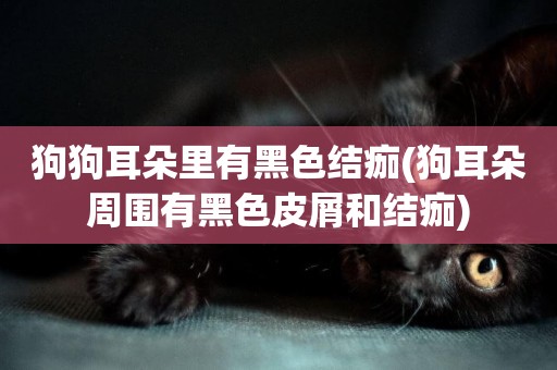 狗狗耳朵里有黑色結痂(狗耳朵周圍有黑色皮屑和結痂)