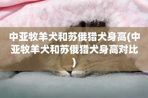 中亞牧羊犬和蘇俄獵犬身高(中亞牧羊犬和蘇俄獵犬身高對比)