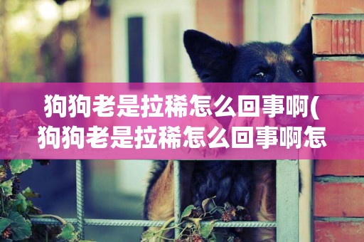 狗狗老是拉稀怎么回事啊(狗狗老是拉稀怎么回事啊怎么治)