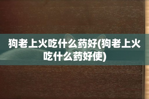 狗老上火吃什么藥好(狗老上火吃什么藥好使)