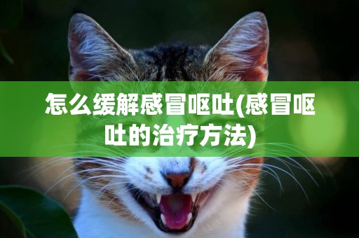 怎么緩解感冒嘔吐(感冒嘔吐的治療方法)