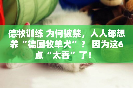 德牧訓練 為何被禁，人人都想養“德國牧羊犬”？ 因為這6點“太香”了！ 