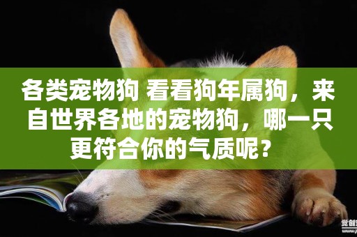 各類寵物狗 看看狗年屬狗，來自世界各地的寵物狗，哪一只更符合你的氣質呢？ 