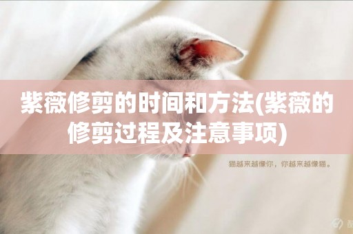 紫薇修剪的時間和方法(紫薇的修剪過程及注意事項)