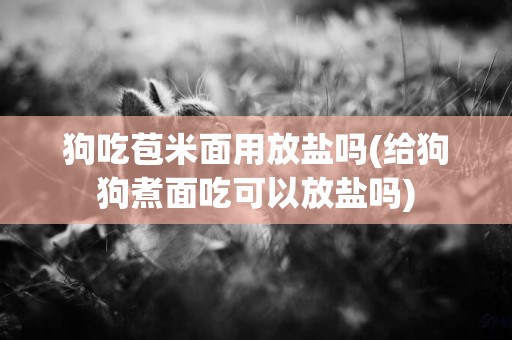 狗吃苞米面用放鹽嗎(給狗狗煮面吃可以放鹽嗎)