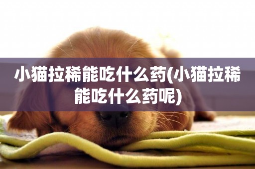 小貓拉稀能吃什么藥(小貓拉稀能吃什么藥呢)