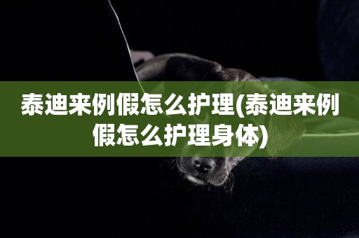 泰迪來例假怎么護理(泰迪來例假怎么護理身體)