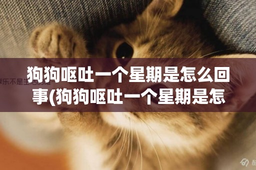 狗狗嘔吐一個星期是怎么回事(狗狗嘔吐一個星期是怎么回事吃什么藥)