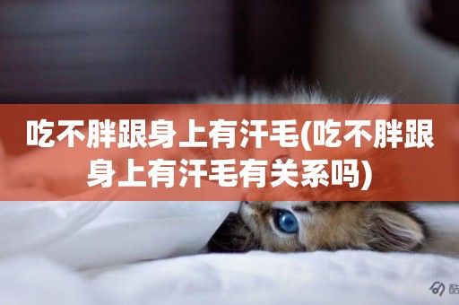 吃不胖跟身上有汗毛(吃不胖跟身上有汗毛有關系嗎)