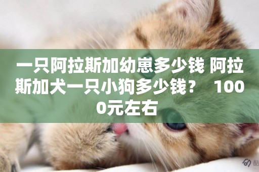 一只阿拉斯加幼崽多少錢 阿拉斯加犬一只小狗多少錢？  1000元左右 