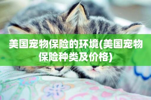 美國寵物保險的環境(美國寵物保險種類及價格)