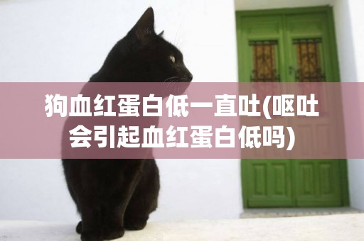 狗血紅蛋白低一直吐(嘔吐會引起血紅蛋白低嗎)