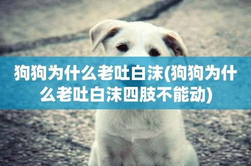 狗狗為什么老吐白沫(狗狗為什么老吐白沫四肢不能動)