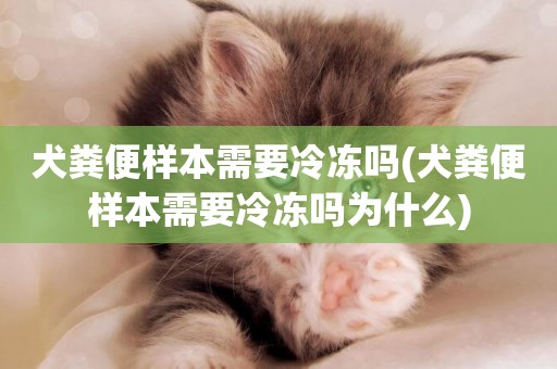 犬糞便樣本需要冷凍嗎(犬糞便樣本需要冷凍嗎為什么)