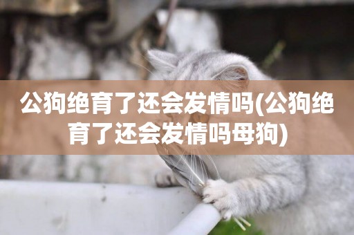 公狗絕育了還會發情嗎(公狗絕育了還會發情嗎母狗)