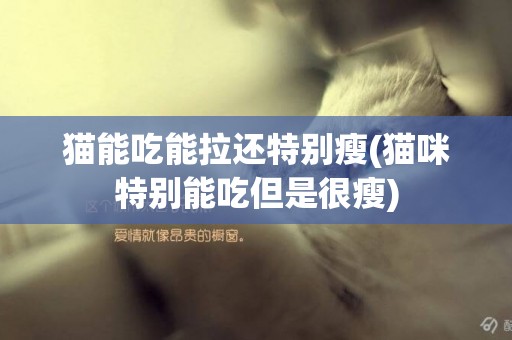 貓能吃能拉還特別瘦(貓咪特別能吃但是很瘦)