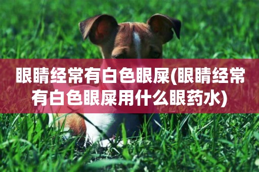眼睛經常有白色眼屎(眼睛經常有白色眼屎用什么眼藥水)