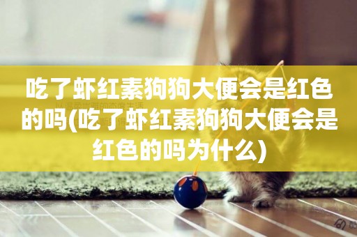吃了蝦紅素狗狗大便會是紅色的嗎(吃了蝦紅素狗狗大便會是紅色的嗎為什么)