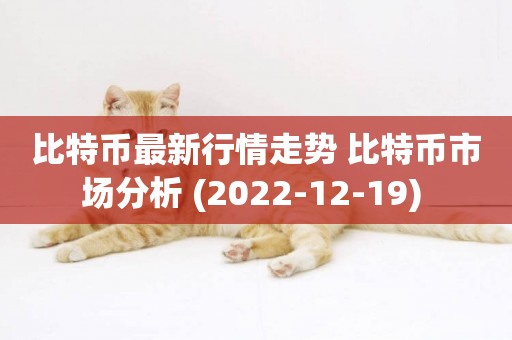 比特幣最新行情走勢 比特幣市場分析 (2022-12-19) 