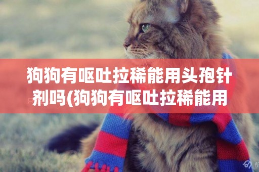 狗狗有嘔吐拉稀能用頭孢針劑嗎(狗狗有嘔吐拉稀能用頭孢針劑嗎多少錢)