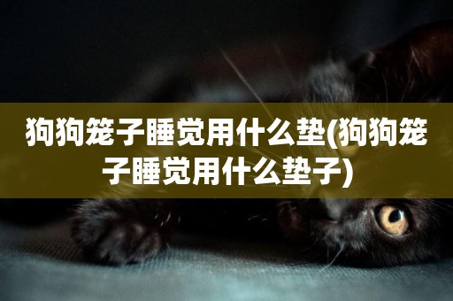 狗狗籠子睡覺用什么墊(狗狗籠子睡覺用什么墊子)