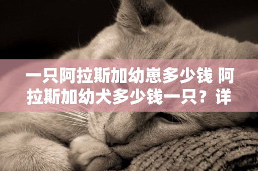 一只阿拉斯加幼崽多少錢 阿拉斯加幼犬多少錢一只？詳細價格分析 