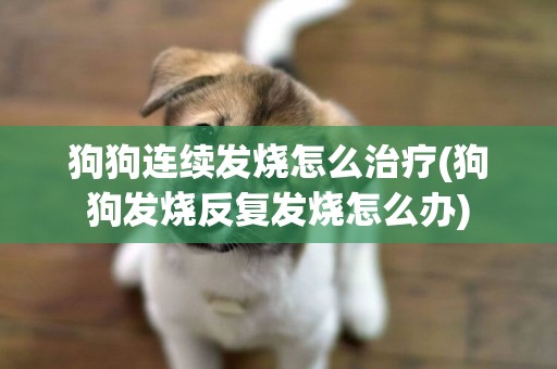 狗狗連續發燒怎么治療(狗狗發燒反復發燒怎么辦)