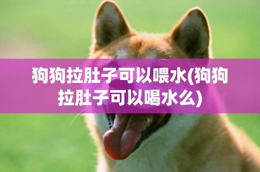 狗狗拉肚子可以喂水(狗狗拉肚子可以喝水么)